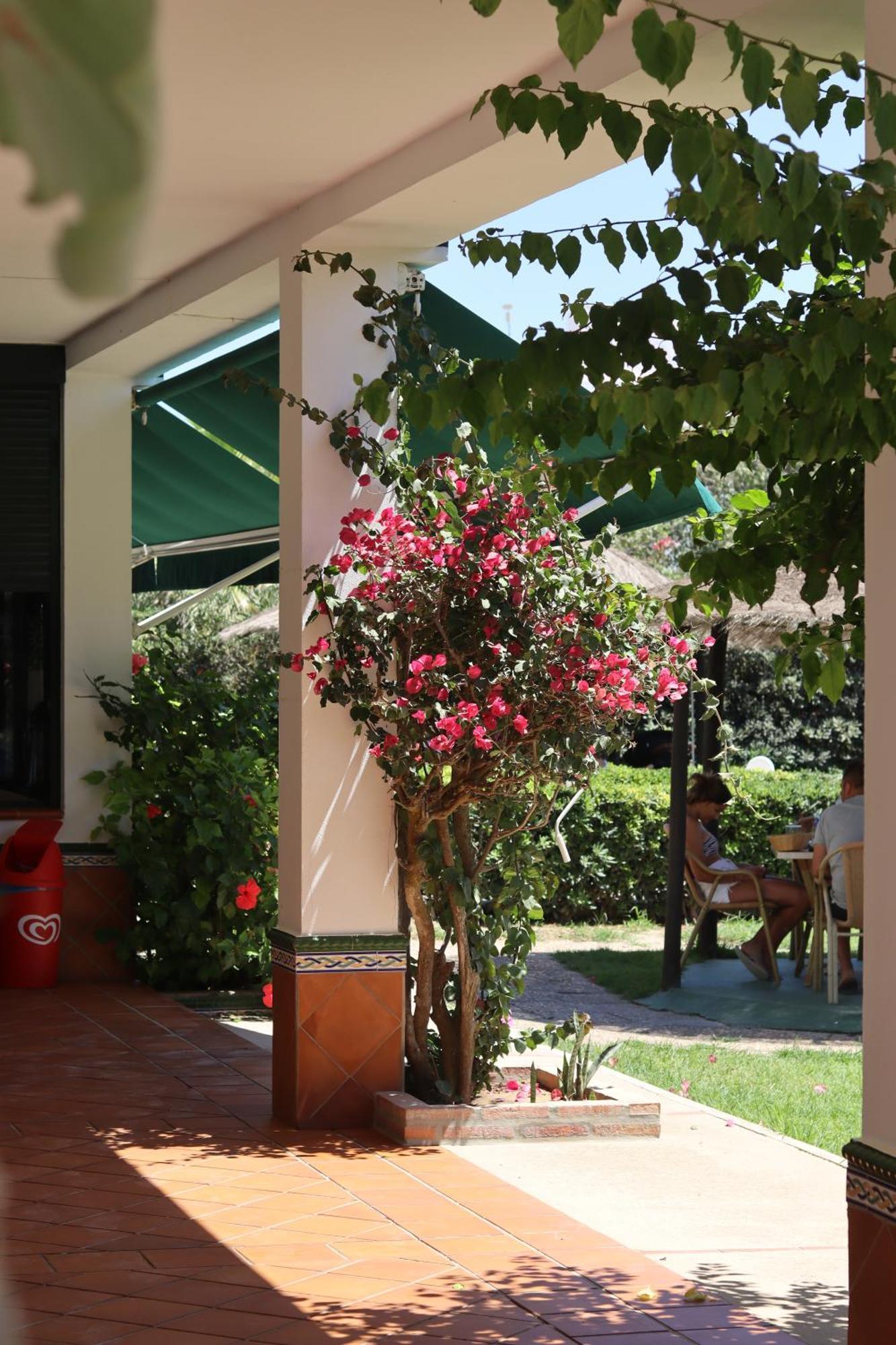 Hostal Restaurante La Ilusion El Palmar  Eksteriør bilde