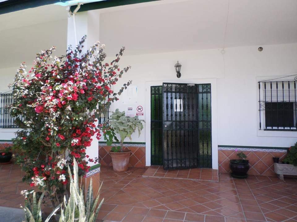 Hostal Restaurante La Ilusion El Palmar  Eksteriør bilde